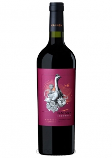 KAIKEN INDOMITO CABERNET FRANC 2020 X 750 CC