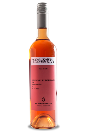 RICARDO SANTOS ROSADO X 750 CC